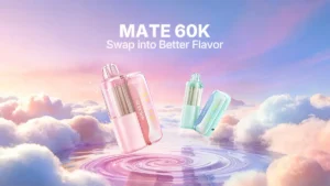 Geekbar Mate Pods